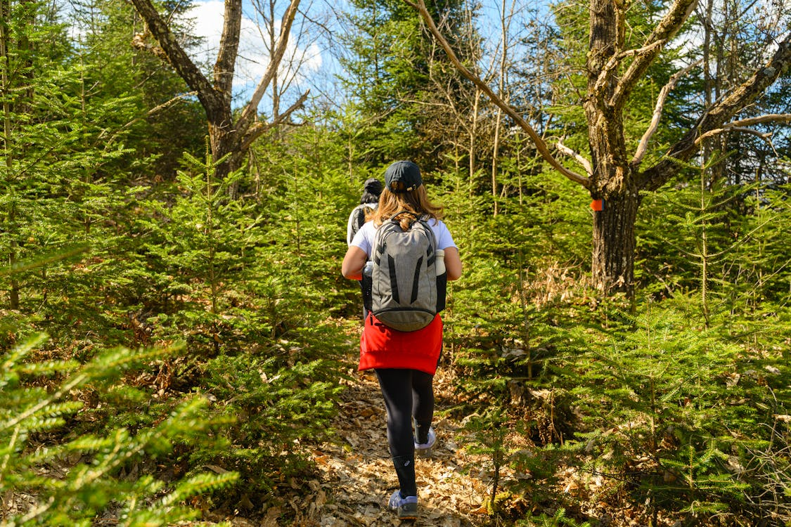 Person hiking through a forest as one of the hobbies for reducing stress and mental clutter.