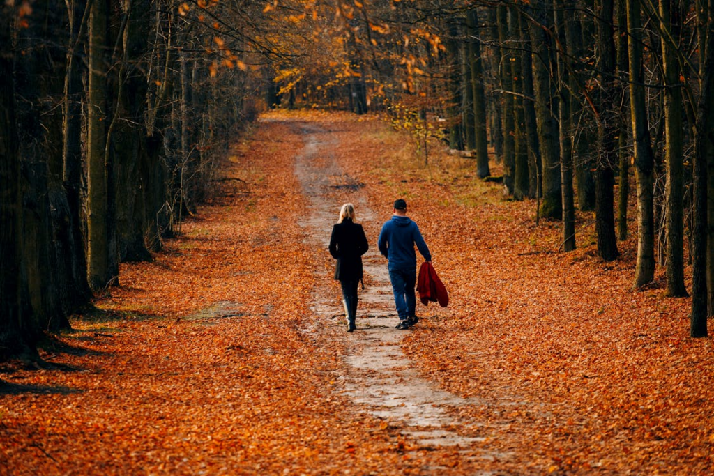 People walking through a forest to show how walking improves creativity and clearer thinking.