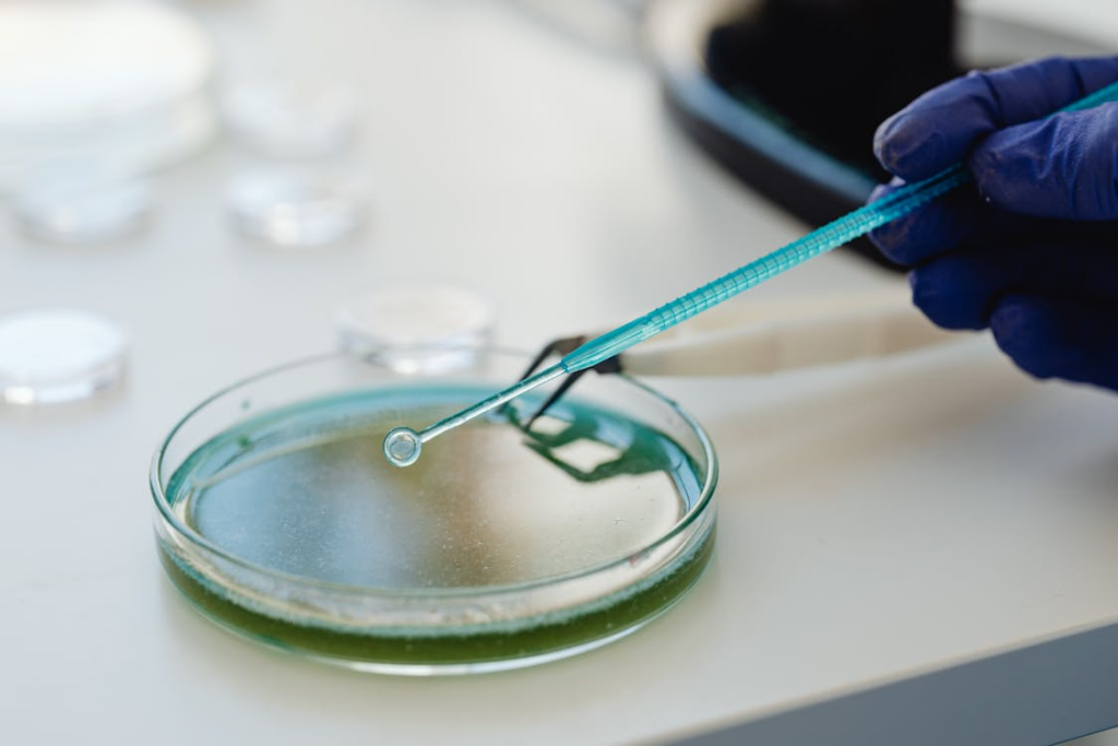 Scientist examining a petri dish illustrating accidental discoveries that changed history in medicine.